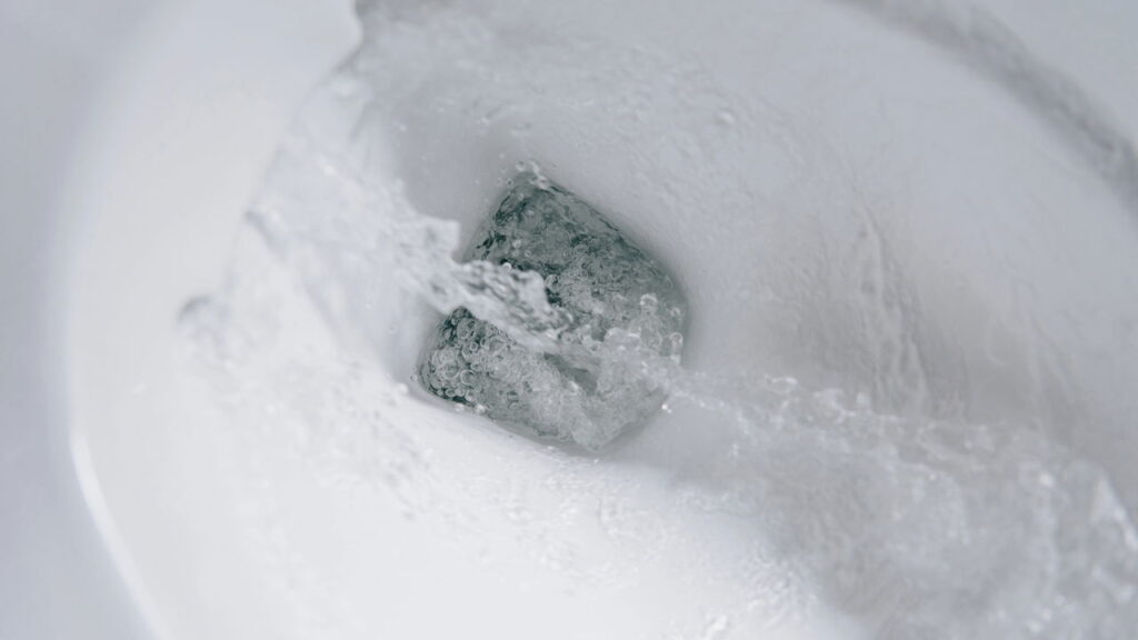 Apenas uma colher desse ingrediente antes de dormir e seu vaso amanhece brilhando