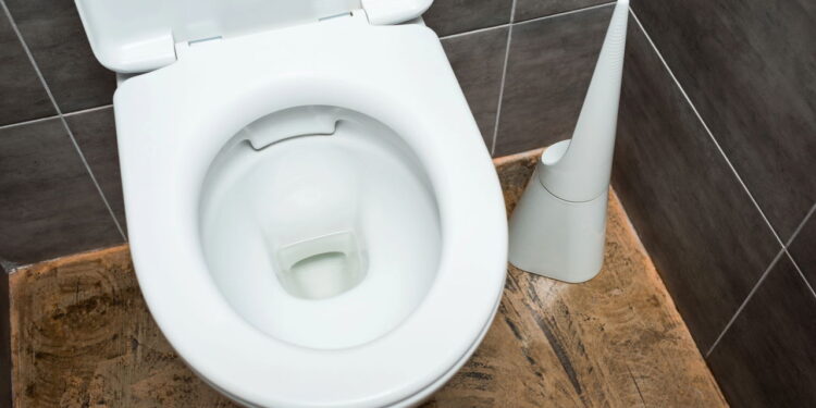 Nem cloro, nem pastilha: esse truque no vaso sanitário virou febre