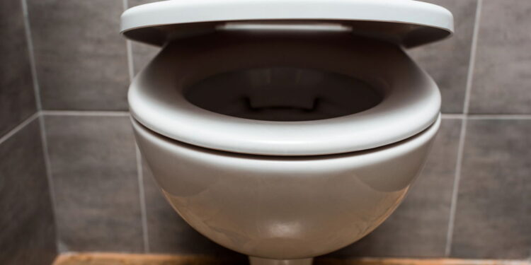 Qual é o propósito de jogar sal e bicarbonato de sódio no vaso sanitário