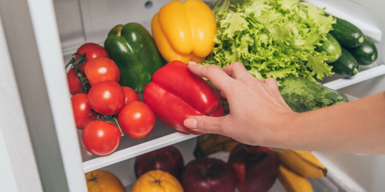 Segredos para conservar verduras frescas por mais tempo
