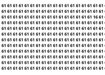 Apenas os mais rápidos conseguem encontrar o número 16 em 8 segundos