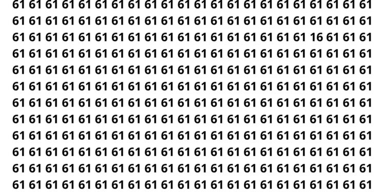 Apenas os mais rápidos conseguem encontrar o número 16 em 8 segundos