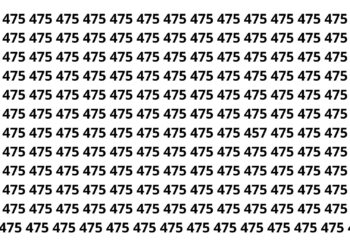 Poucos conseguem encontrar o número 457 entre os 475 em 10 segundos