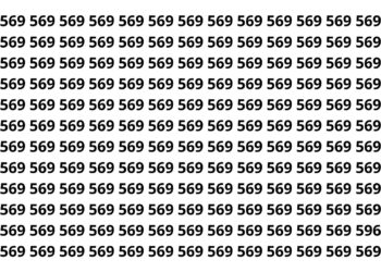 Poucos conseguem achar o número 596 em até 8 segundos