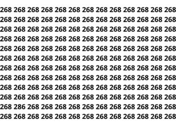 Procure o número 286 nesta imagem em 10 segundos