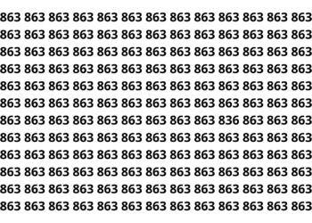 Apenas os olhos mais atentos encontram o número 836 em 8 segundos