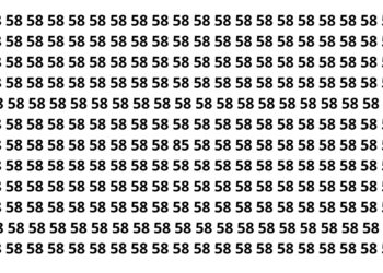 Somente 15% das pessoas conseguem encontrar o número 85 escondido em menos de 10 segundos