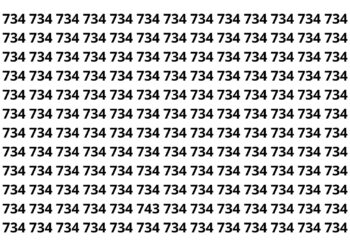 Seu cérebro é fantástico, se você encontrar o número 743 em 10 segundos