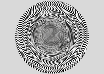 Só quem tem visão aguçada consegue encontrar o número escondido