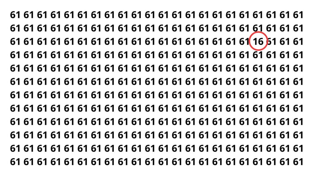 Apenas os mais rápidos conseguem encontrar o número 16 em 8 segundos