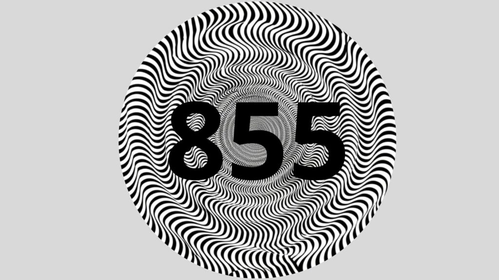 Apenas 15% das pessoas encontram o número 855 em 7 segundos?