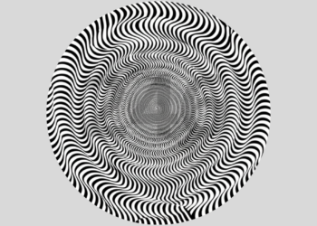 Apenas os mais atentos enxergam o número 246 nesta imagem viral