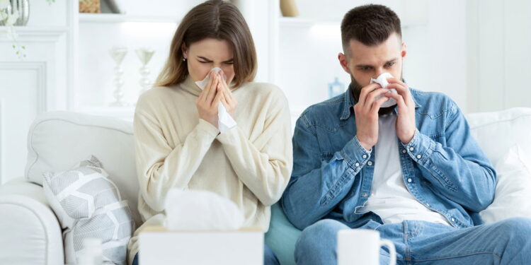 Receitas que aliviam sintomas de alergias