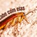 Como acabar com as baratas usando truques simples e naturais