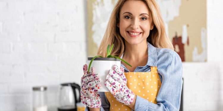 Esta planta medicinal é um verdadeiro agente de proteção natural da saúde