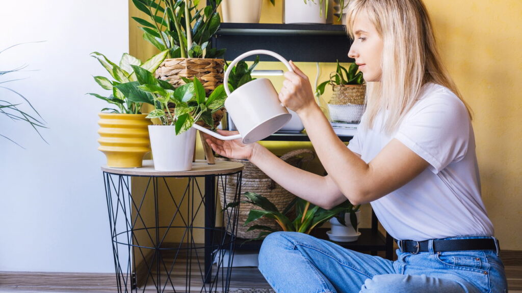 A planta de folhagem vibrante que dá charme e frescor à decoração da casa
