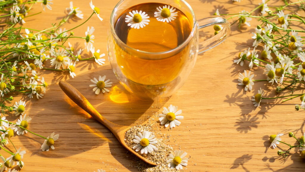 Ervas que aliviam cólicas e desconfortos menstruais