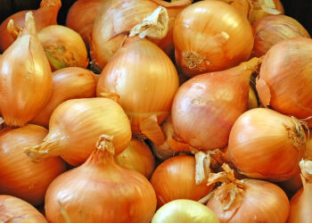 Como armazenar cebolas para durarem meses com frescor garantido