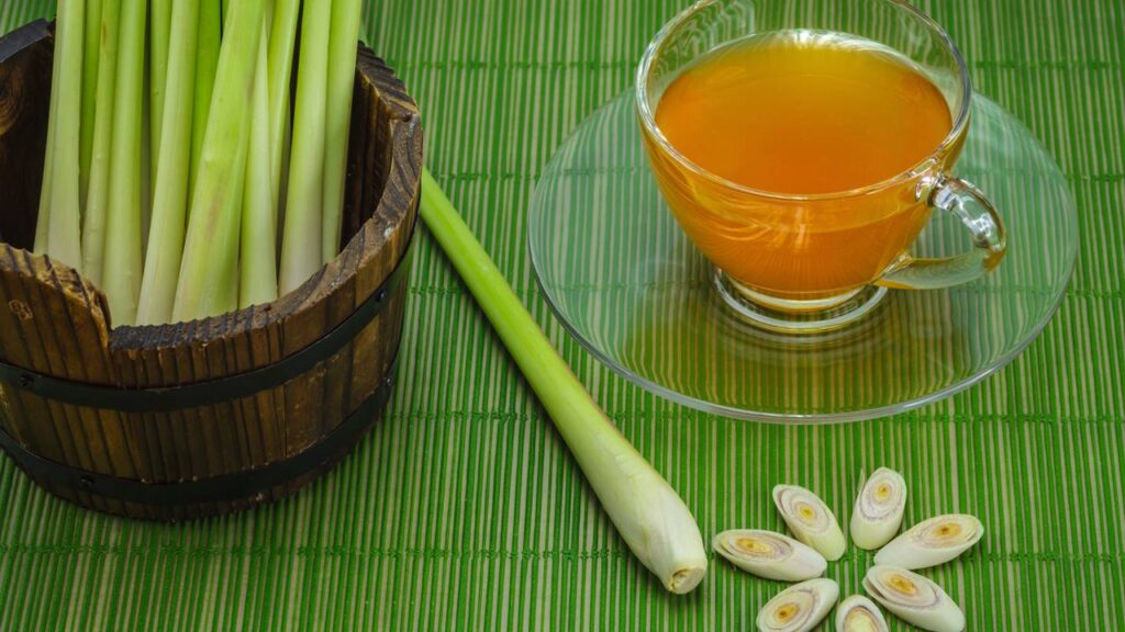 Chá caseiro para quem não quer sofrer de ansiedade e inchaço