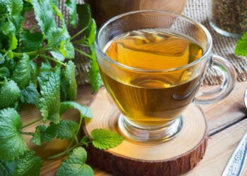 Este chá de erva-cidreira tem um segredo que garante reduzir a sua ansiedade antes de dormir