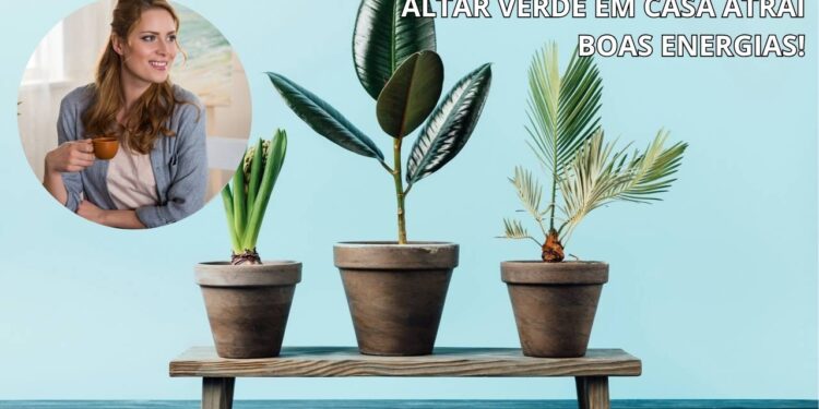 Como criar um altar verde com aromas e ervas do zodíaco