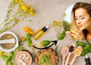 5 plantas medicinais que você precisa ter em casa