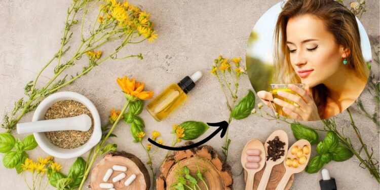 5 plantas medicinais que você precisa ter em casa