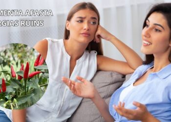 Por que é importante ter pimenta plantada em casa, segundo Feng Shui
