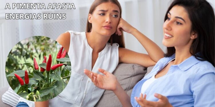 Por que é importante ter pimenta plantada em casa, segundo Feng Shui