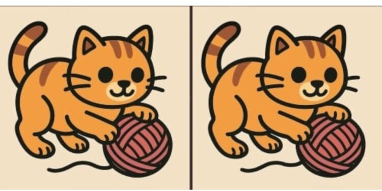 Você consegue encontrar 3 diferenças na imagem do gato em 43 segundos