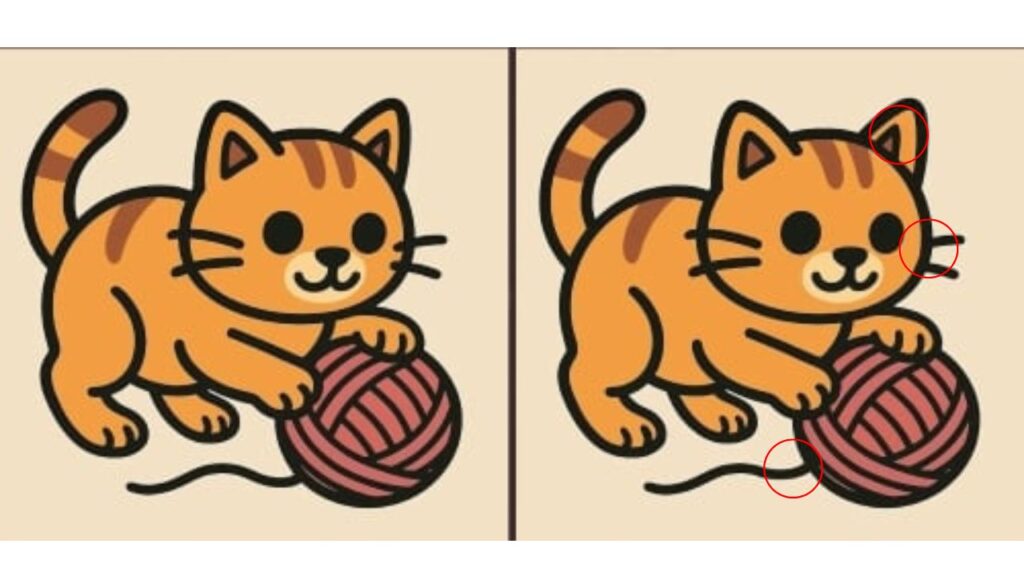 Você consegue encontrar 3 diferenças na imagem do gato em 43 segundos