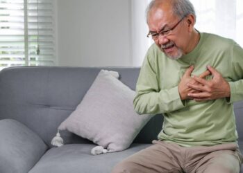 Ervas que ajudam na saúde cardiovascular e mantêm o coração forte