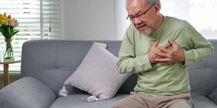 Ervas que ajudam na saúde cardiovascular e mantêm o coração forte