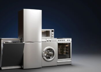 Problemas que as pragas podem causar nos seus eletrodomésticos