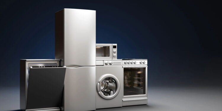 Problemas que as pragas podem causar nos seus eletrodomésticos