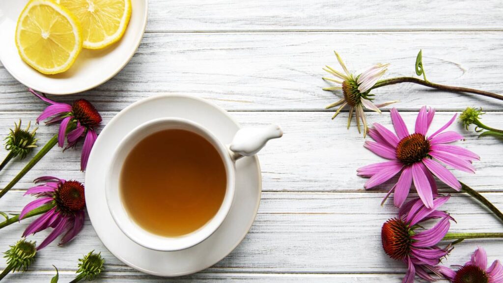 As 5 plantas que fortalecem a imunidade e mantêm o corpo protegido