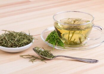 Conheça a planta que pode melhorar sua saúde dos ossos e até o cabelo