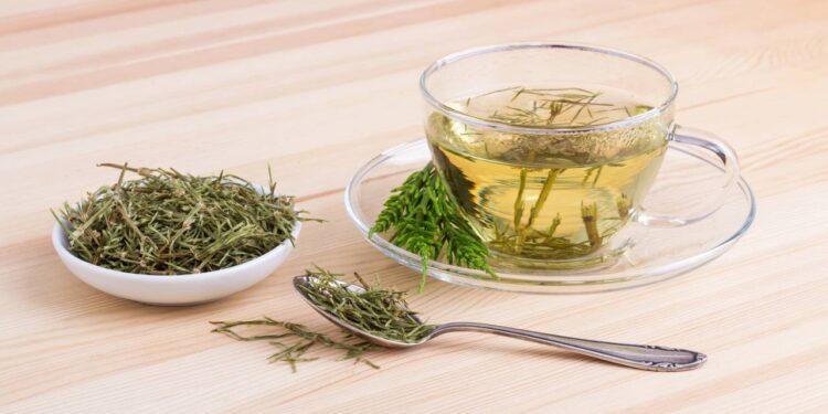 Conheça a planta que pode melhorar sua saúde dos ossos e até o cabelo