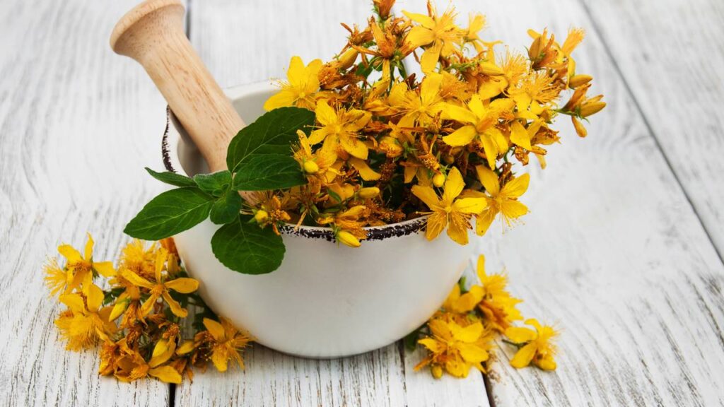 3 plantas que aliviam os sintomas da menopausa