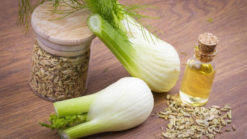 Plantas aromáticas que ajudam digestão e metabolismo