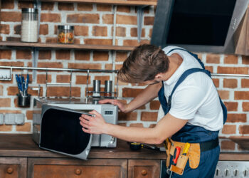 Como evitar danos de pragas em eletrodomésticos com medidas simples