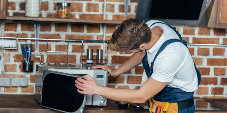 Como evitar danos de pragas em eletrodomésticos com medidas simples