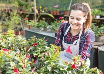 3 flores fáceis de plantar em outubro para deixar seu jardim mais bonito