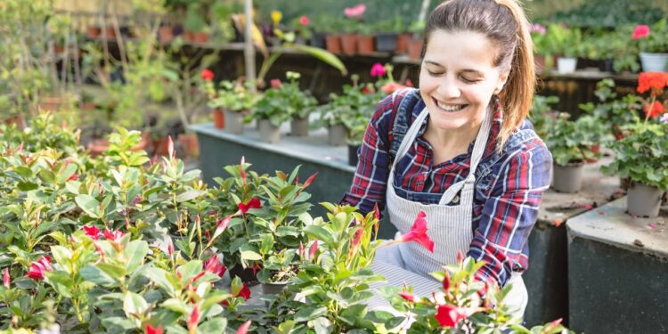 3 flores fáceis de plantar em outubro para deixar seu jardim mais bonito