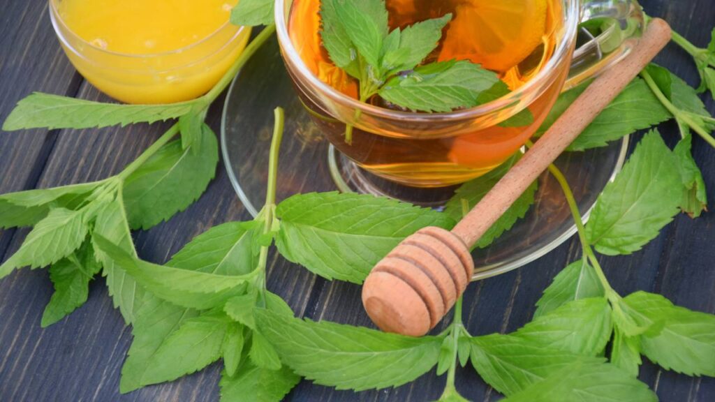 Conheça as receitas que ajudam a aliviar enjoos e mal-estar