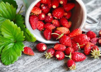 Aprenda como plantar morango em vaso sem veneno com dicas técnicas para produzir mais frutos