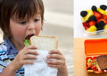 Lanche escolar para um mês gastando R$ 100