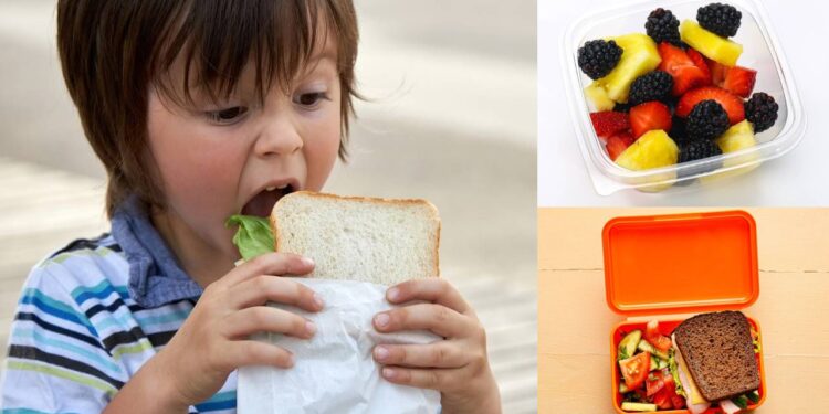 Lanche escolar para um mês gastando R$ 100