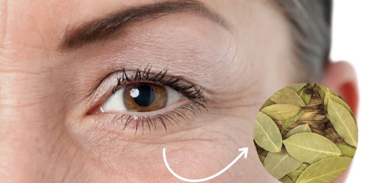 Como a folha de louro pode reduzir rugas e transformar sua pele