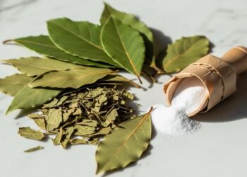 Conheça o truque caseiro que irá eliminar a sujeira e o mau cheiro da sua casa